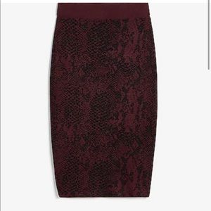 Express Sweater Skirt